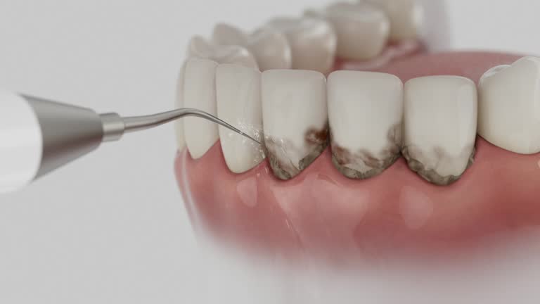 Reliable Dental contractor in Falmouth, KY by Dentist Open Now